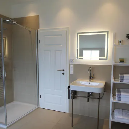 Austernfischer Глове